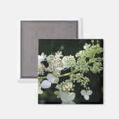 Hydrangea Magneet (Voorkant / Achterkant)
