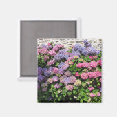 Hydrangea Magnet (Voorkant / Achterkant)