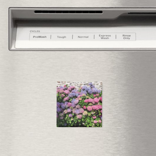 Hydrangea Magnet (Insitu (Vaatwasser))