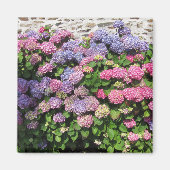 Hydrangea Magnet (Voorkant)