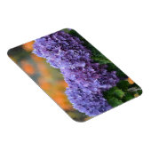 Hydrangea Magnet Magneet (Rechterzijde)