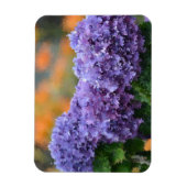 Hydrangea Magnet Magneet (Verticaal)