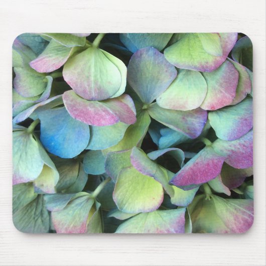 HYDRANGEA Meerkleurige bladen — Muismat (Voorkant)