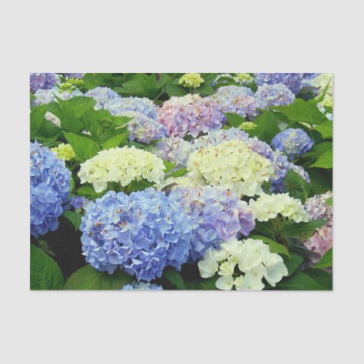 Hydrangea Mix-TISSUE WRAPPINGPAPIER Tissuepapier (Voorkant)