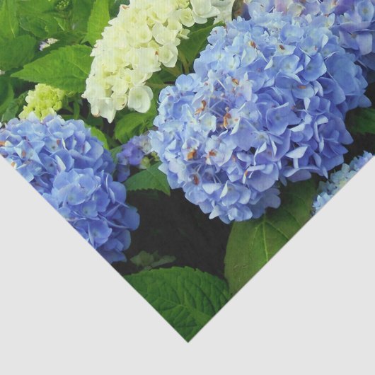 Hydrangea Mix-TISSUE WRAPPINGPAPIER Tissuepapier (Detail)