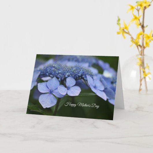 Hydrangea Moederdag Kaart (Gele Bloem)