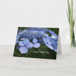 Hydrangea Moederdag Kaart