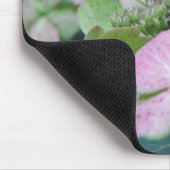 hydrangea muismat (Hoek)