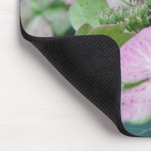 hydrangea muismat (Hoek)