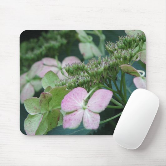 hydrangea muismat (Met muis)
