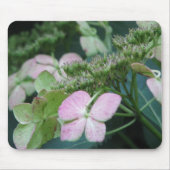 hydrangea muismat (Voorkant)