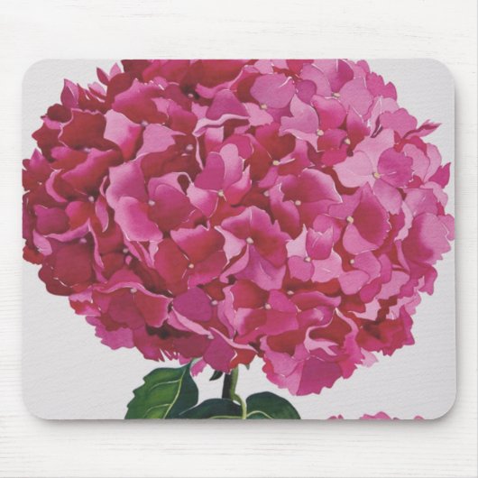 Hydrangea Muismat (Voorkant)