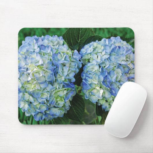 Hydrangea Muismat (Met muis)