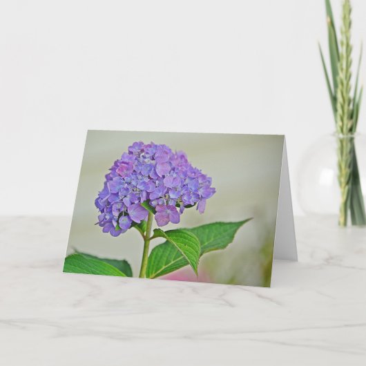 Hydrangea Note Kaart (Voorkant)