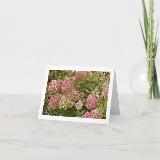 "HYDRANGEA" NOTECARD KAART (Voorkant)