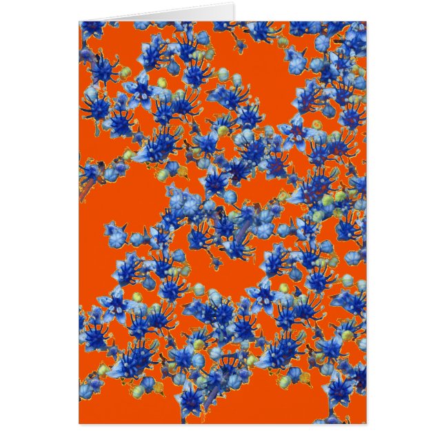 hydrangea oranje en blauw (Voorkant)