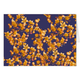 hydrangea oranje en marine