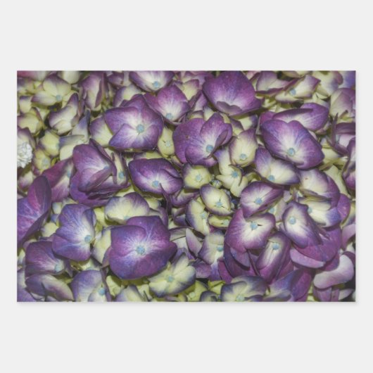 Hydrangea Paars flesje Fotografisch Inpakpapier Vel (Voorkant 2)