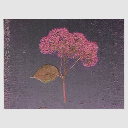 Hydrangea  Paars metaal Sluiten Tissuepapier (Voorkant)