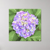 Hydrangea - Paarse - Canvas (Voorkant)