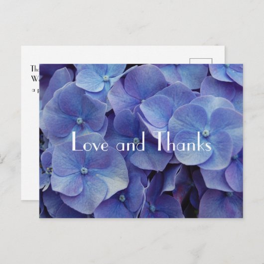 Hydrangea Paarse Dank u Briefkaart (Voorkant / Achterkant)