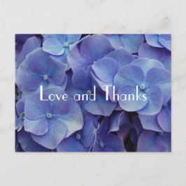 Hydrangea Paarse Dank u Briefkaart