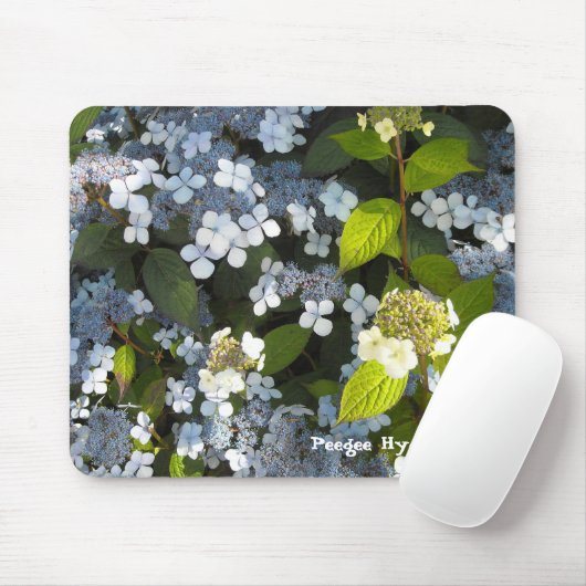 Hydrangea paniculata muismat (Met muis)