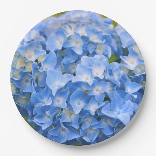 HYDRANGEA PAPIER-BORDEN PAPIEREN BORDJE (Voorkant)