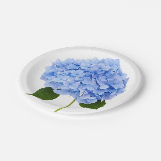 Hydrangea Papieren Bordje (Gekanteld)