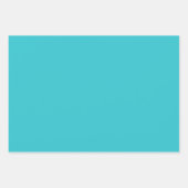 Hydrangea Pattern 2 Inpakpapier Vel (Voorkant 2)