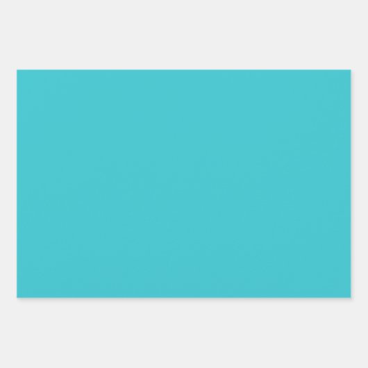 Hydrangea Pattern 2 Inpakpapier Vel (Voorkant 2)