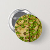 Hydrangea petiolaris Badge Ronde Button 5,7 Cm (Voorkant /achterkant)