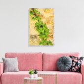 Hydrangea petiolaris canvas afdruk (Insitu (Woonkamer))