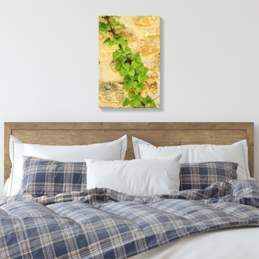 Hydrangea petiolaris canvas afdruk (Insitu (Slaapkamer))
