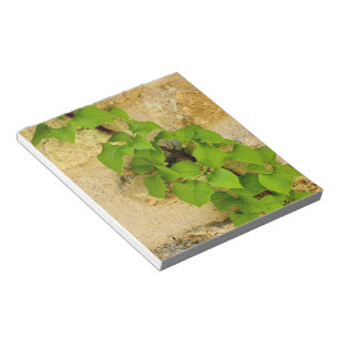 Hydrangea petiolaris notitieblok