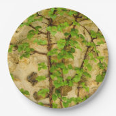 Hydrangea petiolaris papier Bord (Voorkant)