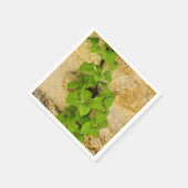 Hydrangea petiolaris papieren servetten (Hoek)