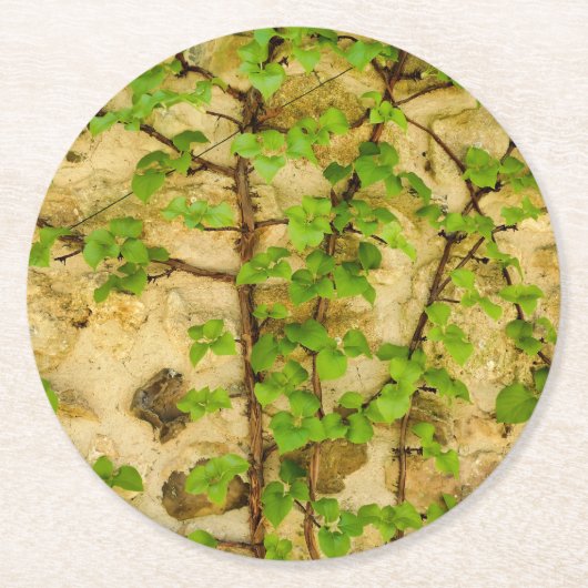 Hydrangea petiolaris ronde kartonnen onderzetter (Voorkant)