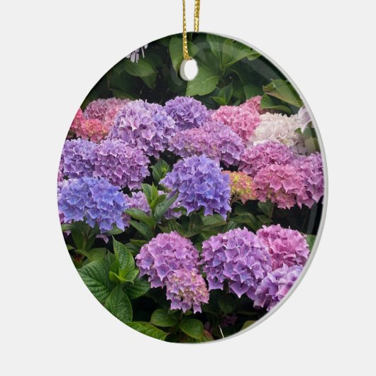 Hydrangea Photograph Keramisch Ornament (Links)