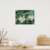 Hydrangea Poster (Keuken)