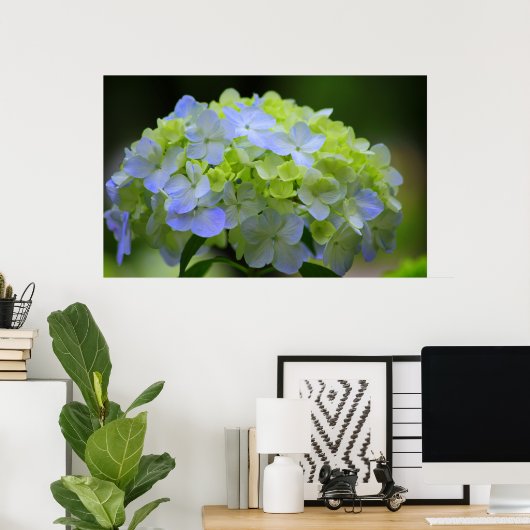 Hydrangea Poster (Thuiskantoor)