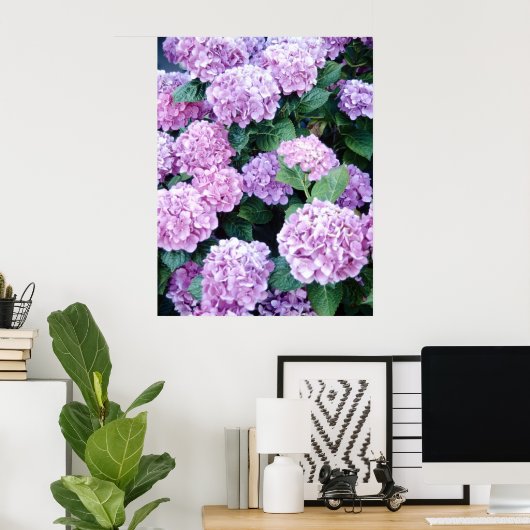 Hydrangea Poster (Thuiskantoor)