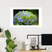 Hydrangea Poster (Thuiskantoor)