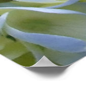 Hydrangea Print (Hoek)