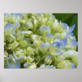 Hydrangea Print (Voorkant)