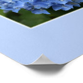 Hydrangea Print (Hoek)