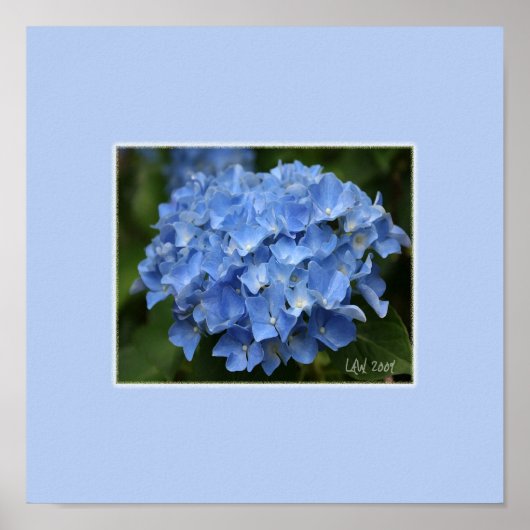 Hydrangea Print (Voorkant)