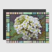 Hydrangea quercifolia [Magnet Card] (Voorkant / Achterkant)