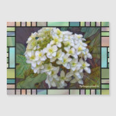 Hydrangea quercifolia [Magnet Card] (Voorkant)