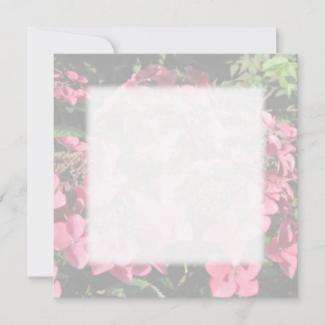 Hydrangea. Roze bloemen. Zachte pasta-kleuren. (Voorkant)